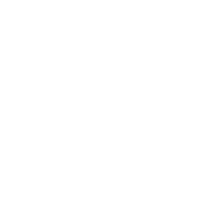 Logo Linkedin blanc